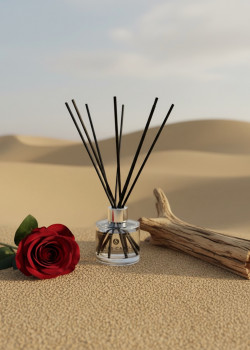 Desert Dreamscape