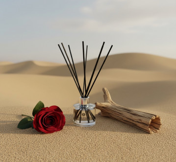 Desert Dreamscape